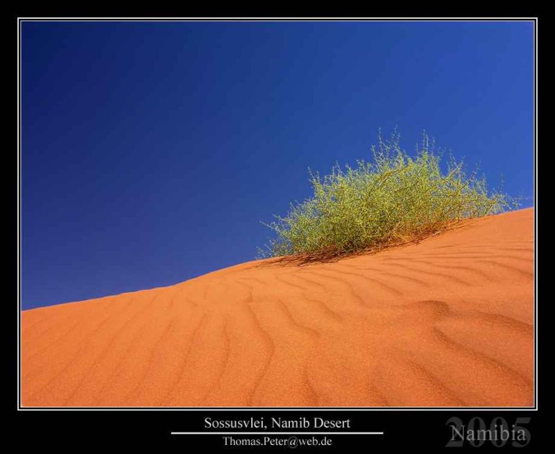 sossusvlei namib desert.jpg